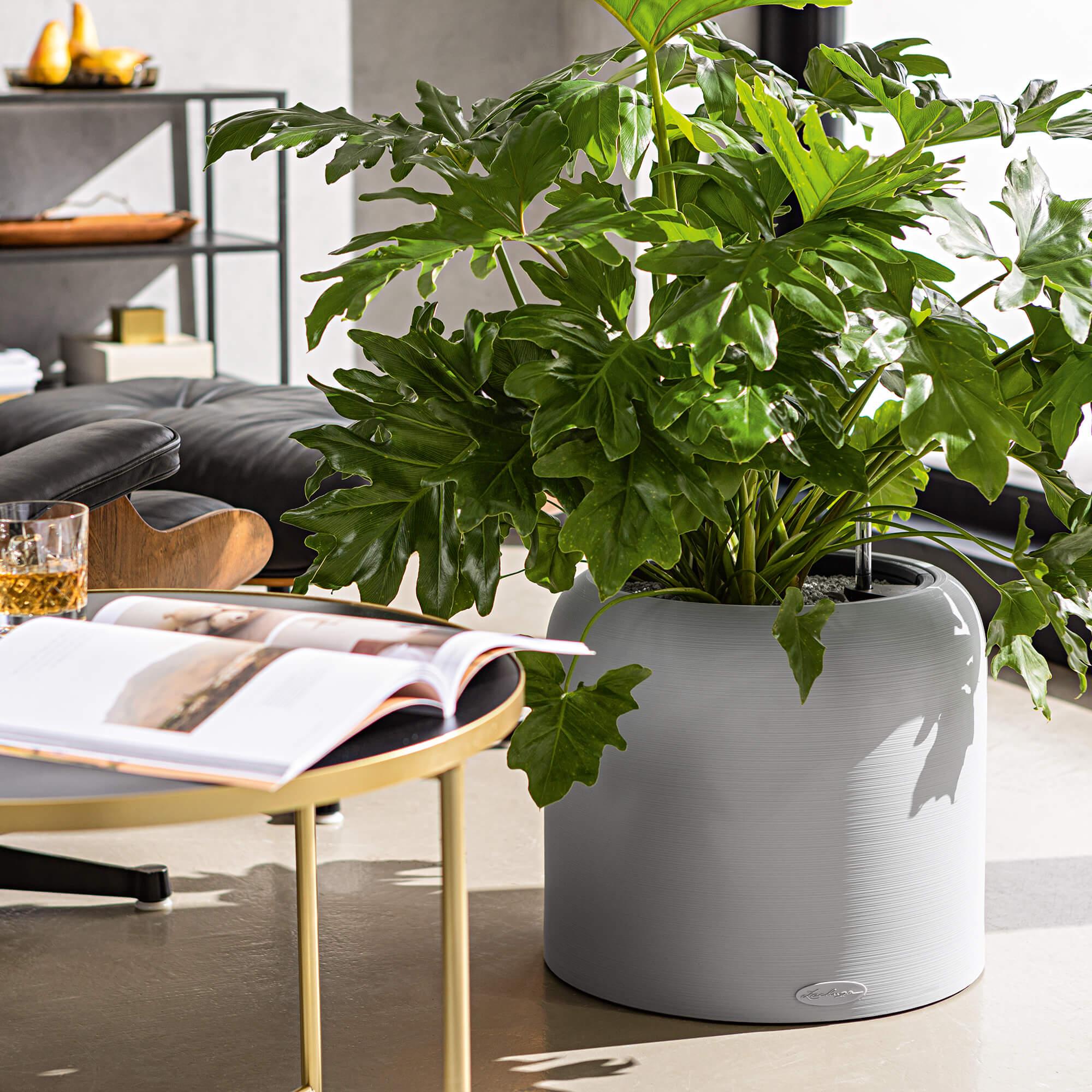 le_havalo40_product_addi_01